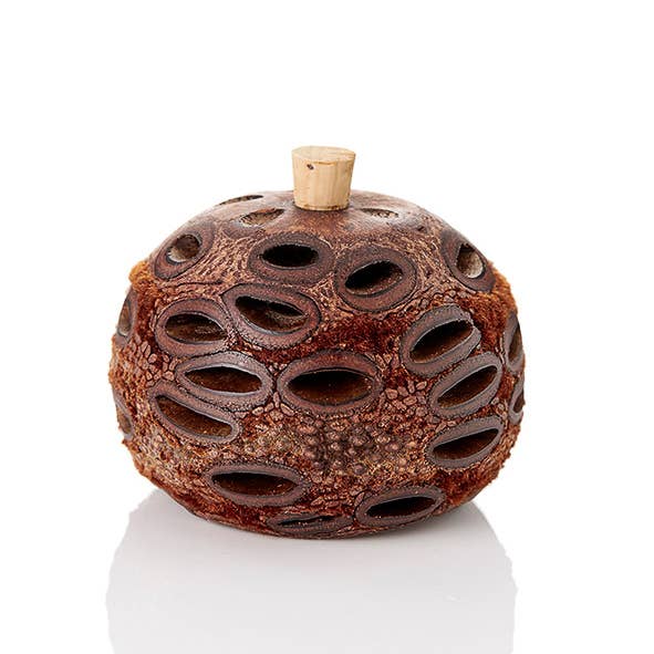 Mini Banksia Pod Diffuser